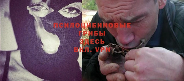 дживик Бородино
