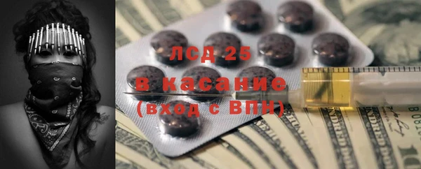 прущие грибы Верхний Тагил