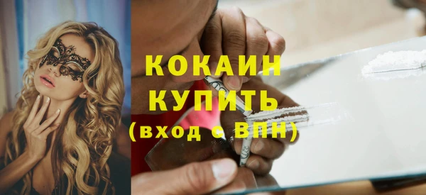 дживик Бородино