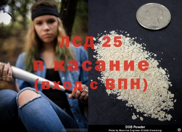 прущие грибы Верхний Тагил