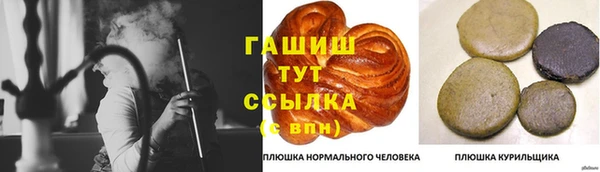 дживик Бородино