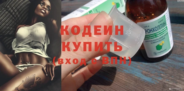 дживик Бородино